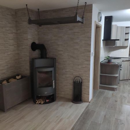 Apartman Vysoké nad Jizerou エクステリア 写真